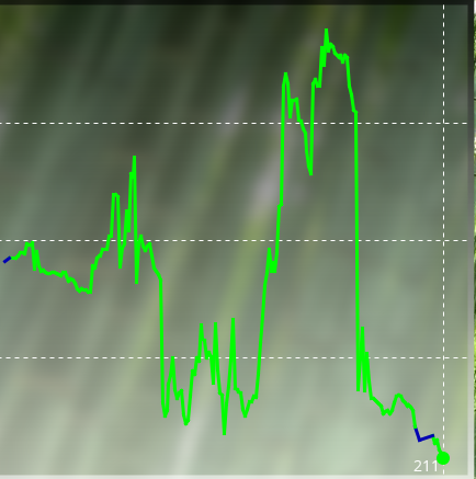 Meijin7 Elf winrate.PNG