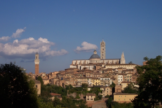 palio hillside small.JPG