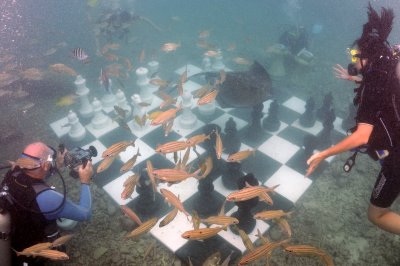 underwater chess.JPG