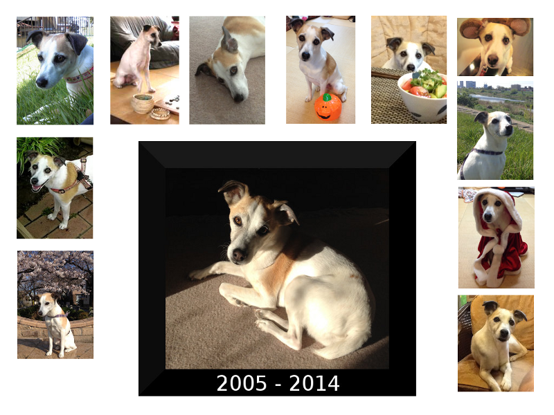 Roze farewell 800.png