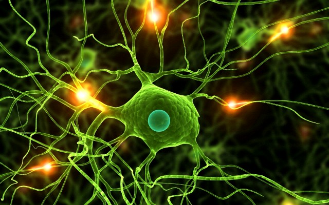 58945-neural-cell-electricity-640x400.jpg