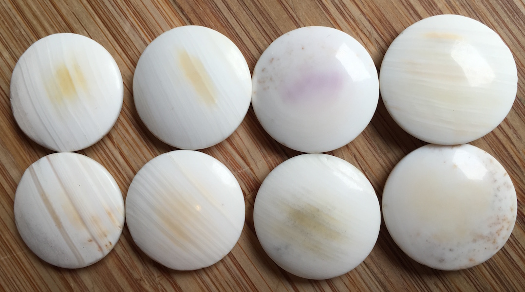 Bunch of weird looking clamshell stones.