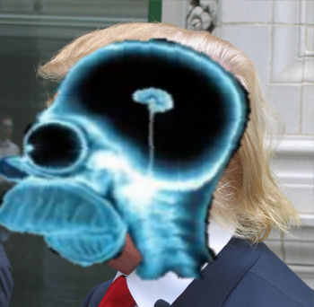 donald.png